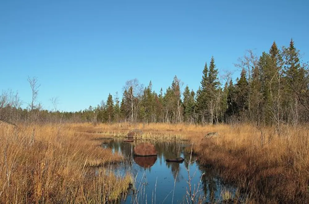 Hertsånger nature reserve