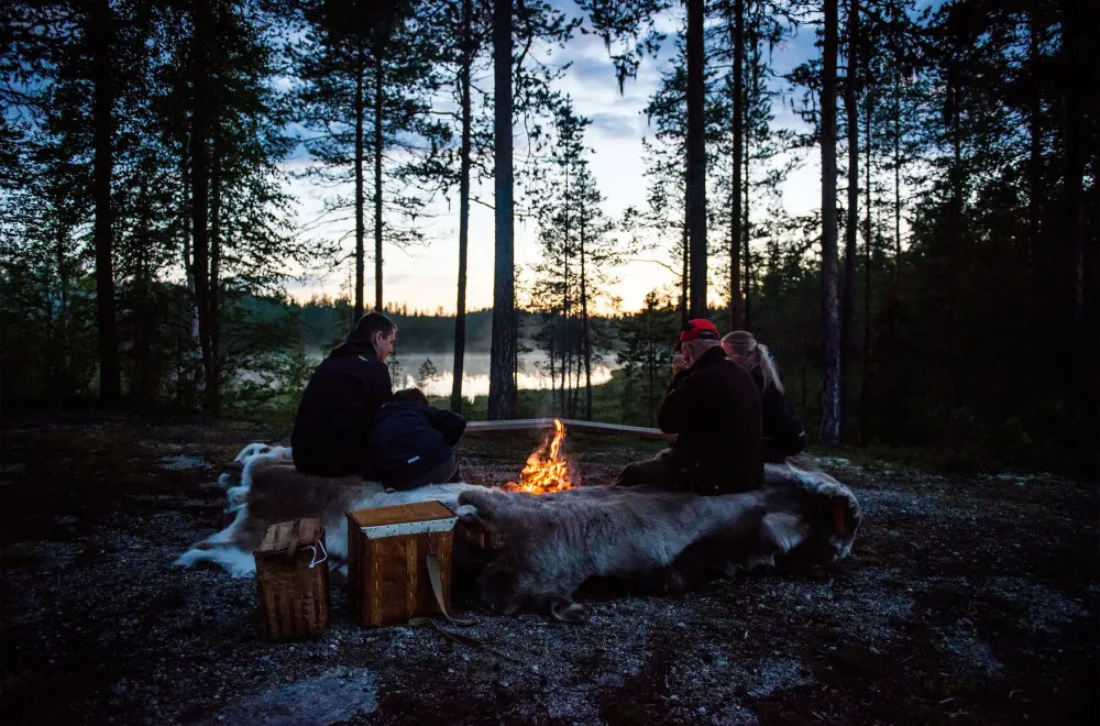 Moose safari