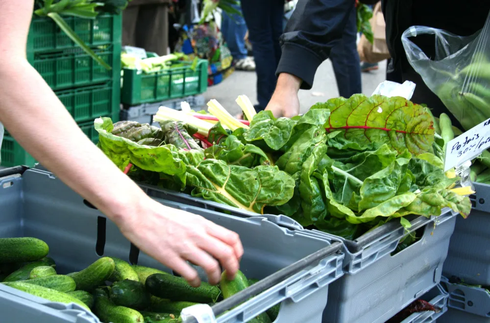 Farmers market