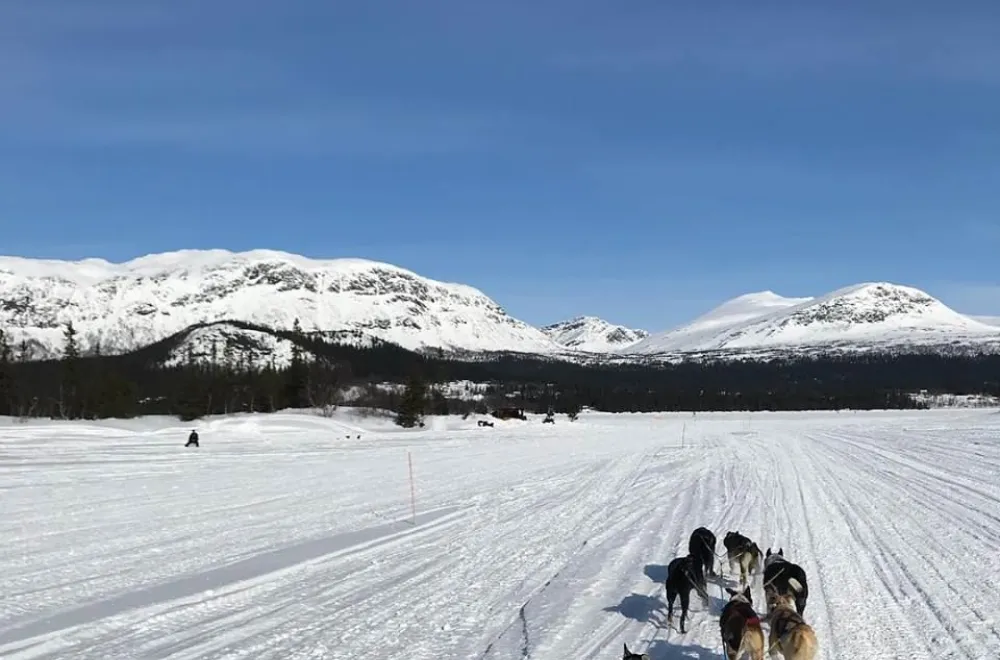 Dog sledding with River Lake Huskies