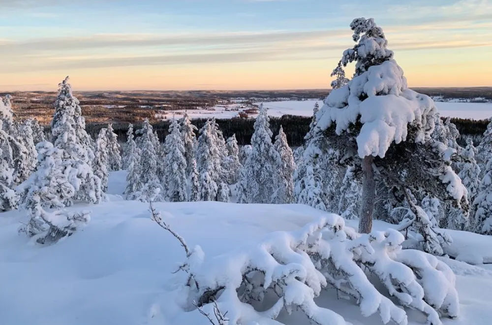 Tavelsjö ten peaks - Tio Toppar Tavelsjö