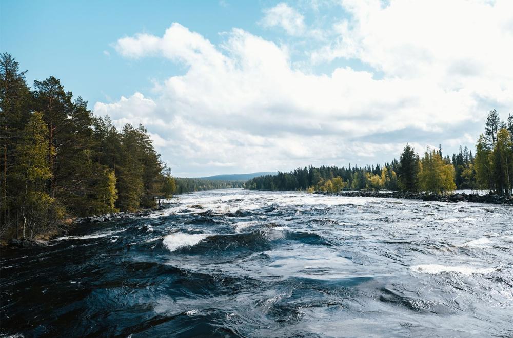 The Mårdseleforsen rapids