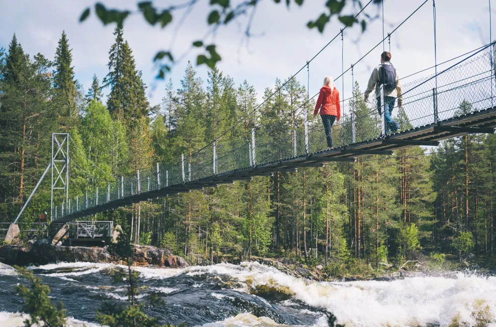 The Mårdseleforsen rapids