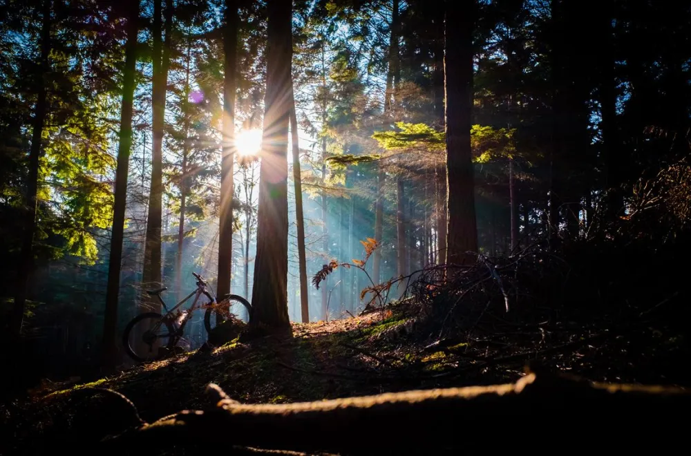 Bicycle rental at Obbola Outdoor