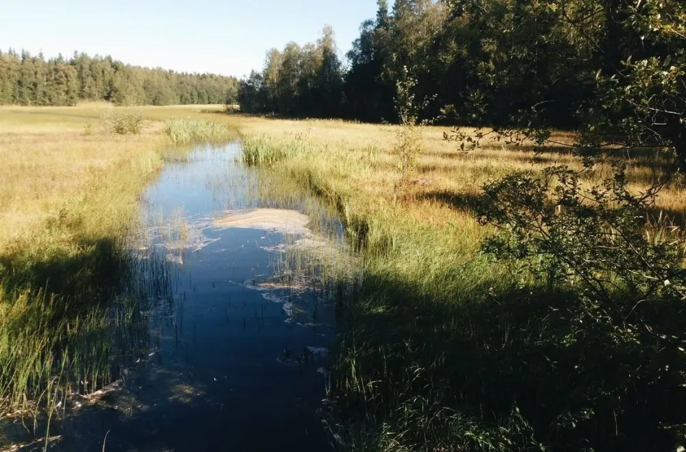 Strömbäck-Kont