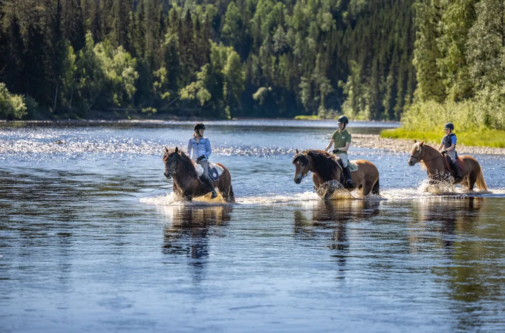 Horse Trekking at Backfors Farm