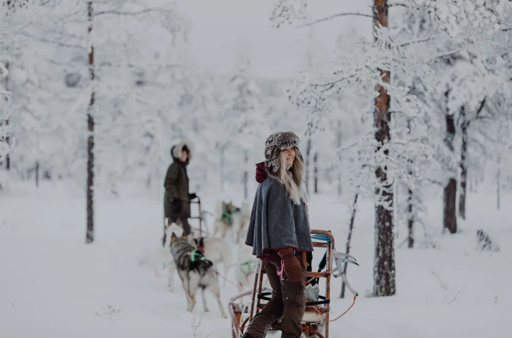 Go dog sledding in Granö