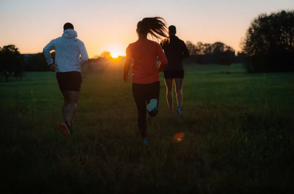 Running Training for Blodomloppet