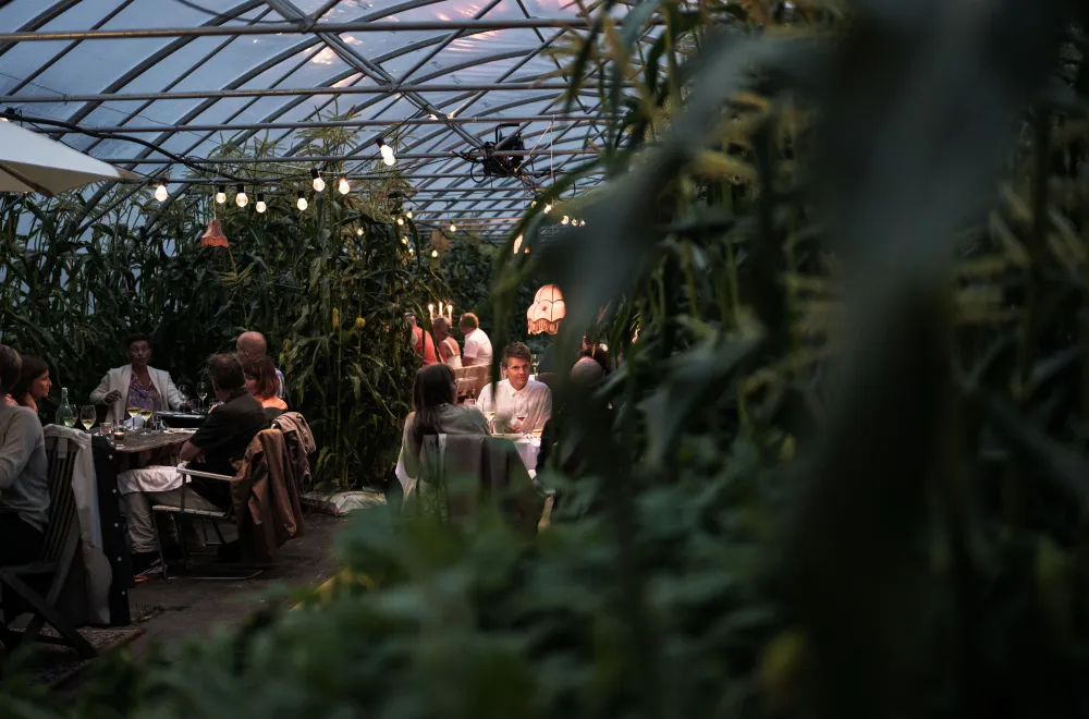 The Greenhouse Dinner  - Terroir Västerhiske