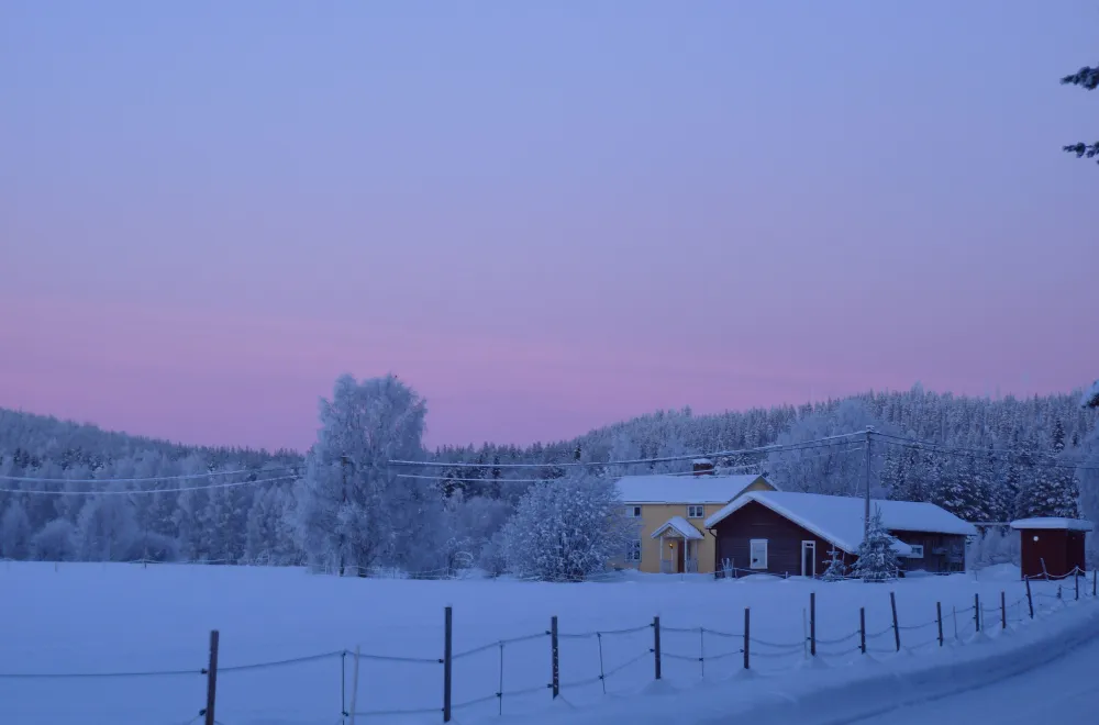 Aurora Borealis B&B
