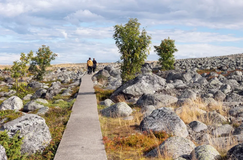 Holmön and Stora Fjäderägg