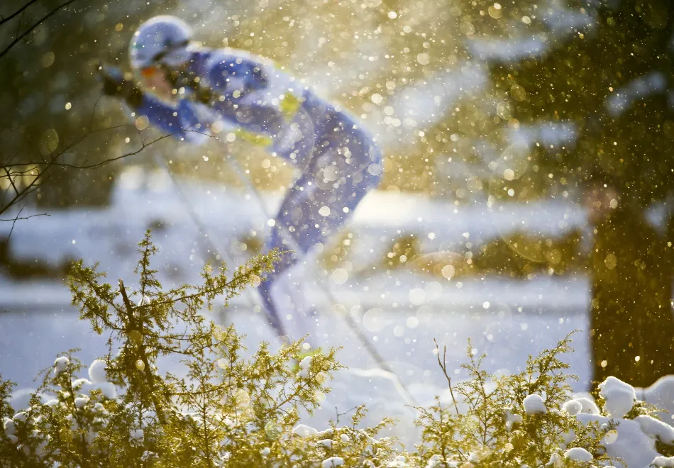 SKidåkare SM veckan