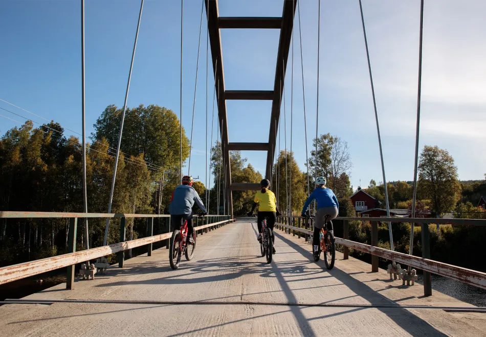 Cykling i Vännäs