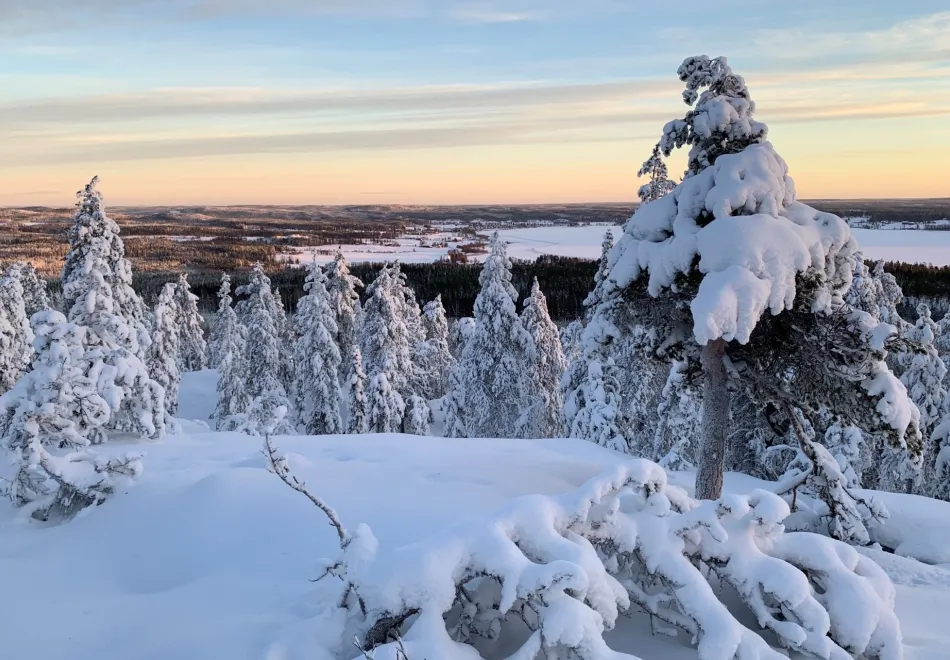 Utsikt över Tavelsjö