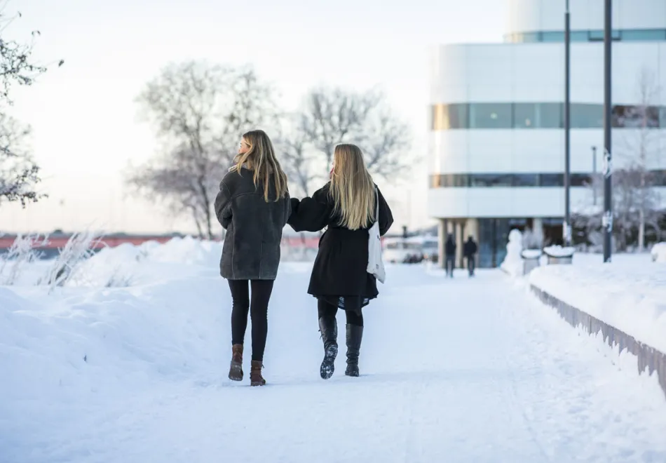 Butik. At home store