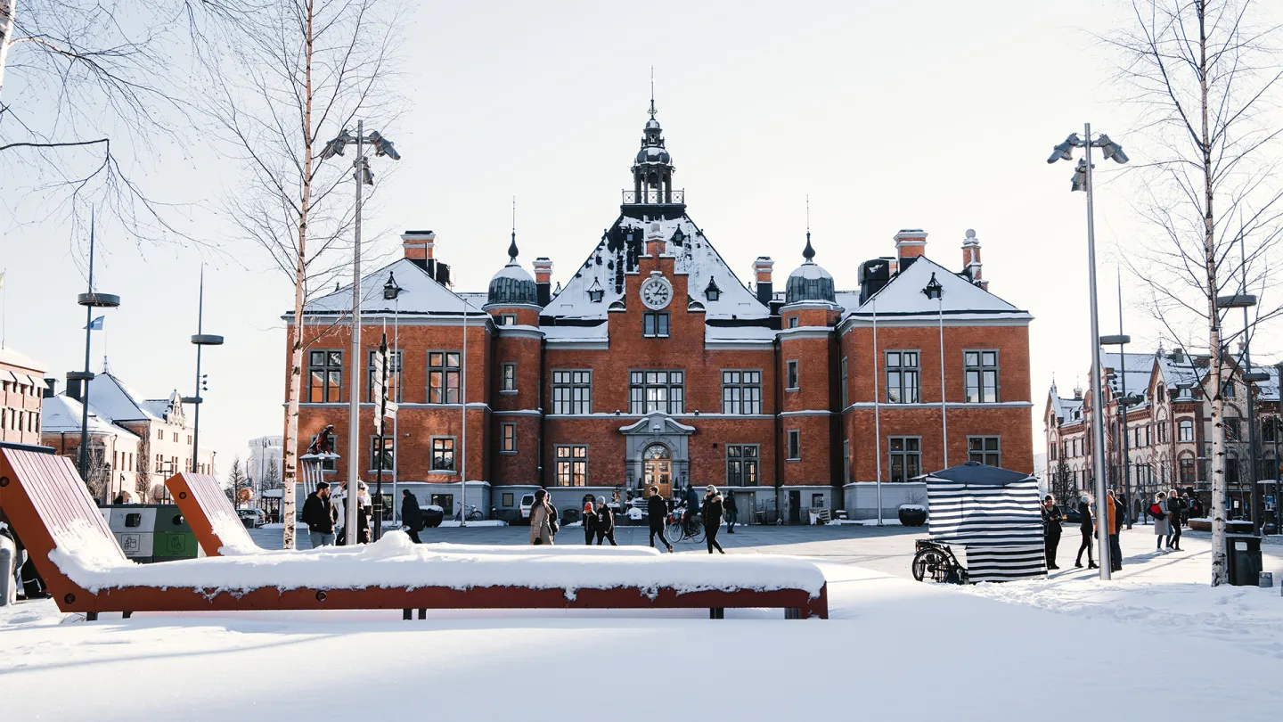 Umeå vinter