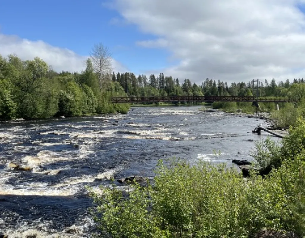 Öreälven Håknäs