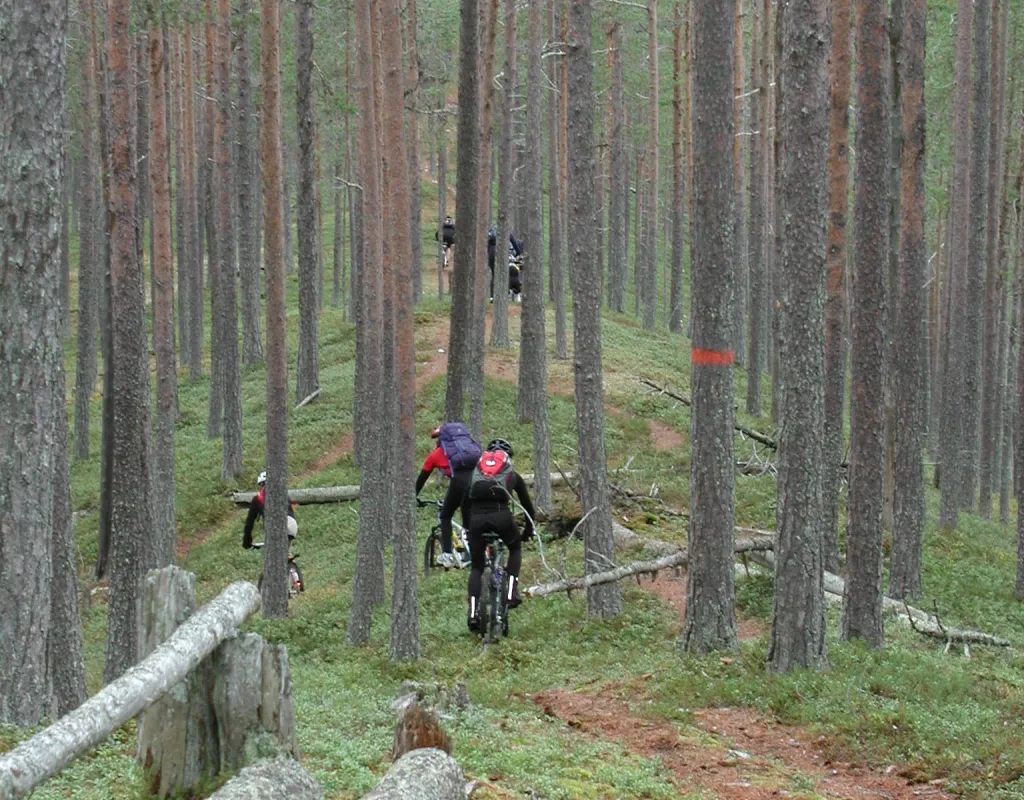 MTB längs Isälvsleden