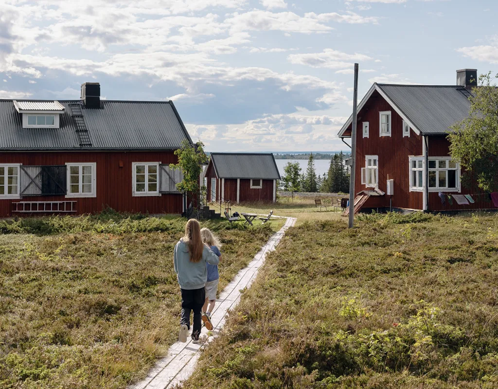 STF stora fjäderägg