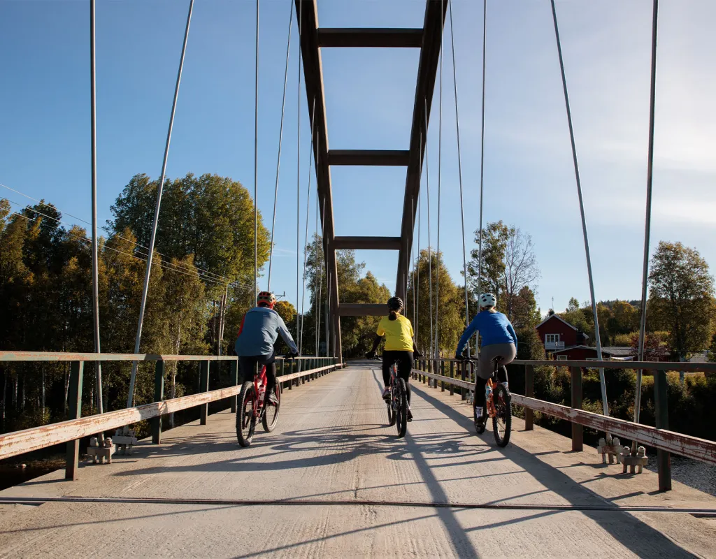 Cykla Umeälvdal