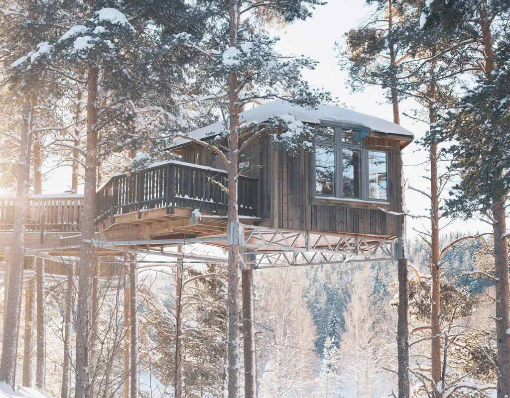 Granö fågelnäste