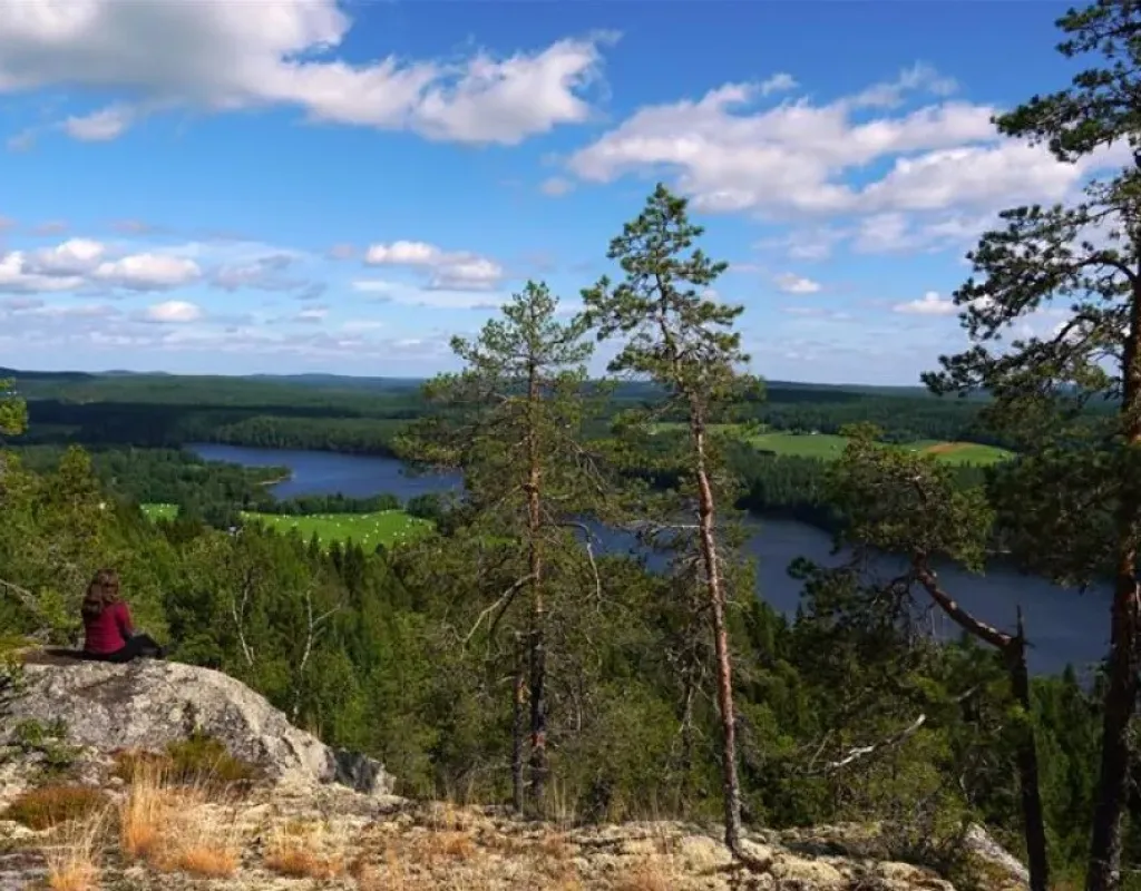 selsbergsleden