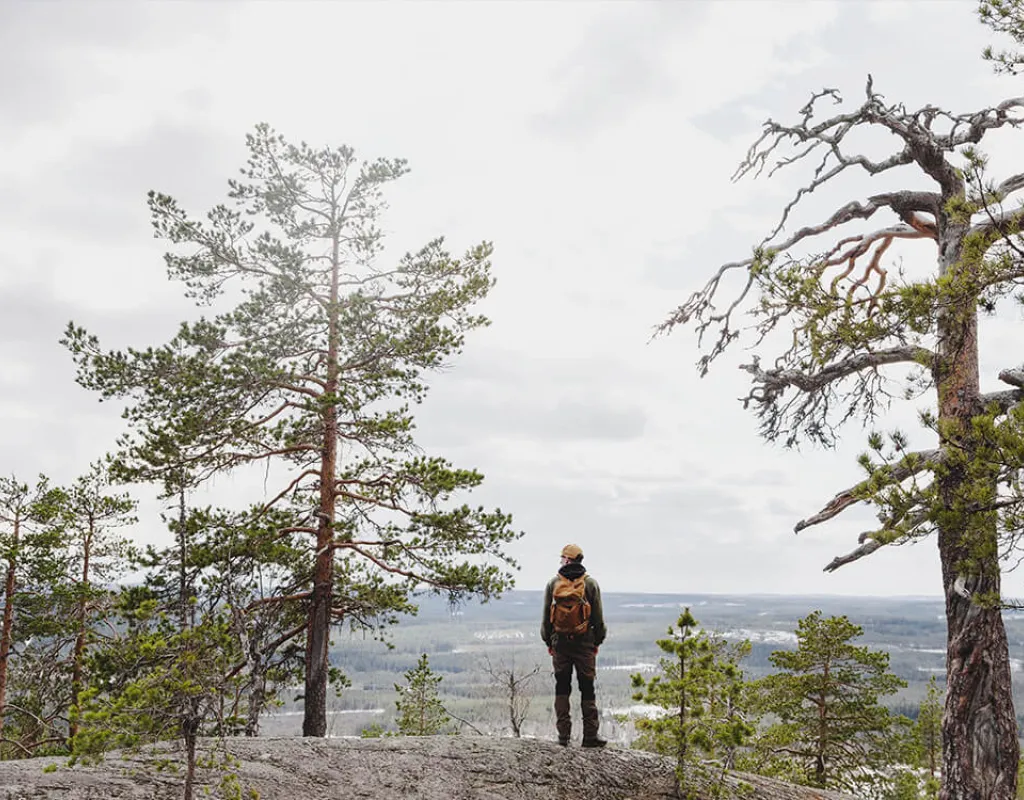 Starrberget