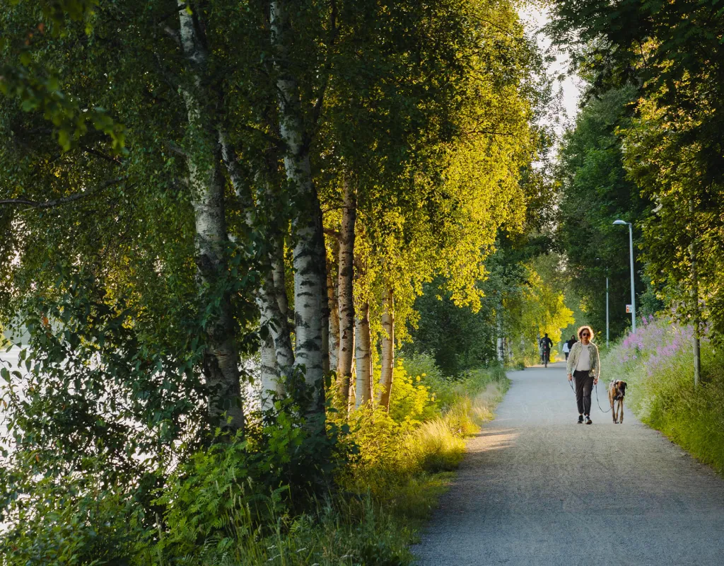 Nybörjare Bölesholmarna