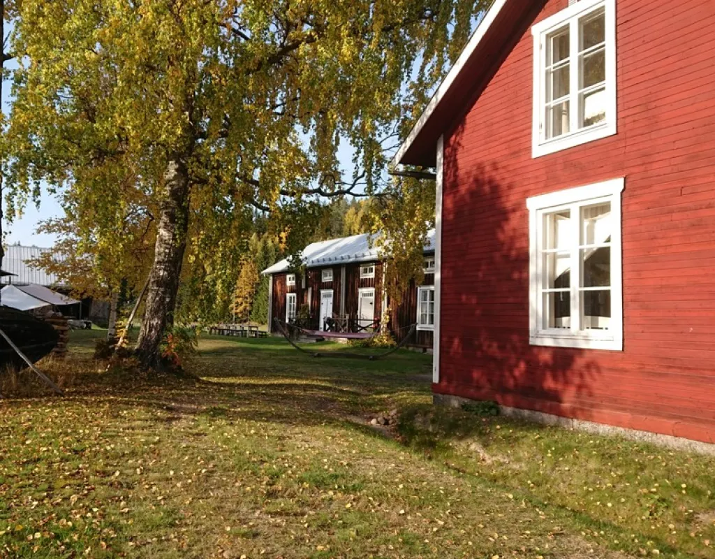 Tjarn