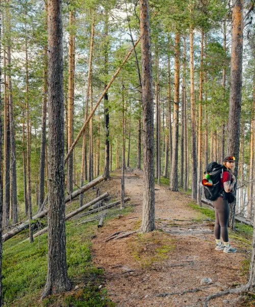 Vandringsfestivalen Hajka