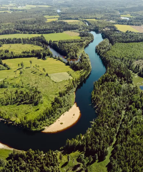 Petnäset