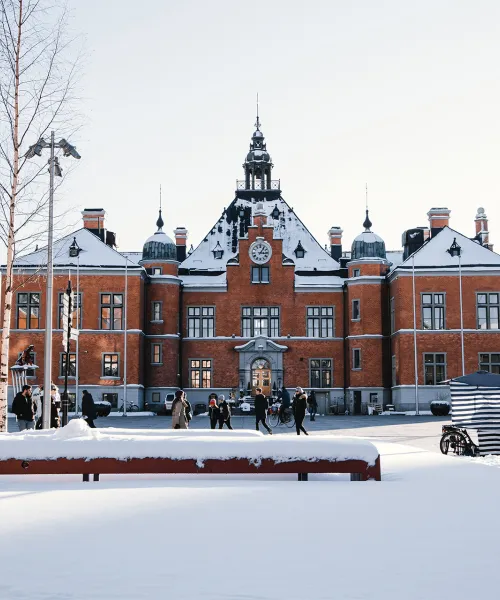 Umeå vinter