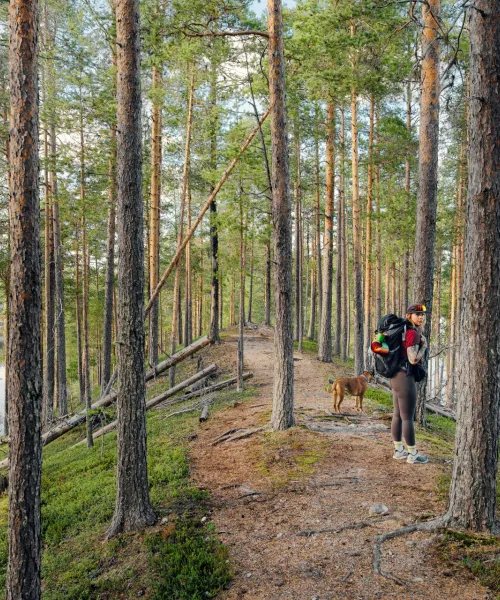 Vandring Isälvsleden