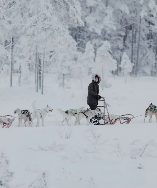 Hundspann. Granö Beckasin