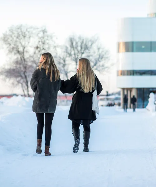 Vinter, Väven