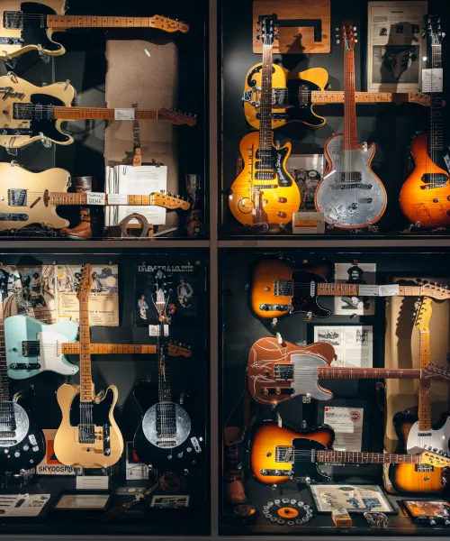 Guitars the Museum