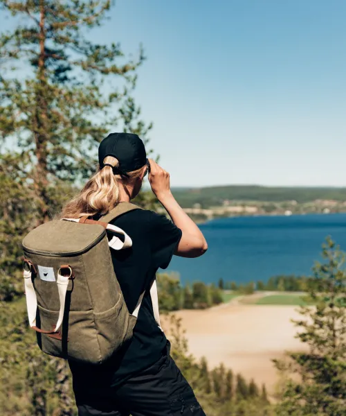 Tavelsjöberget