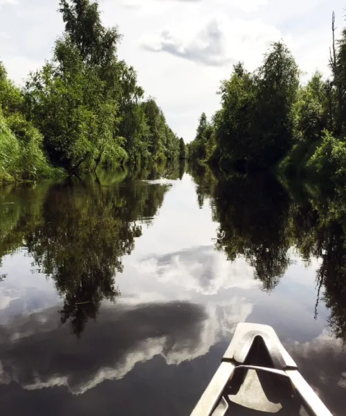 Paddla i Sävarån